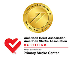 american-heart-and-stroke-logo-general